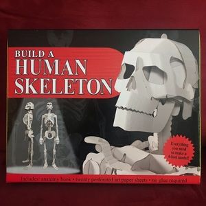 New! 4ft tall “Build a Human Skeleton” Model with Anatomy Book